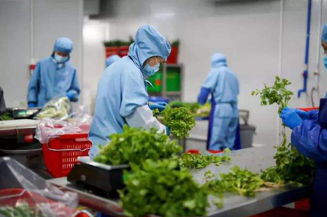 深圳食堂承包的发展是怎样？